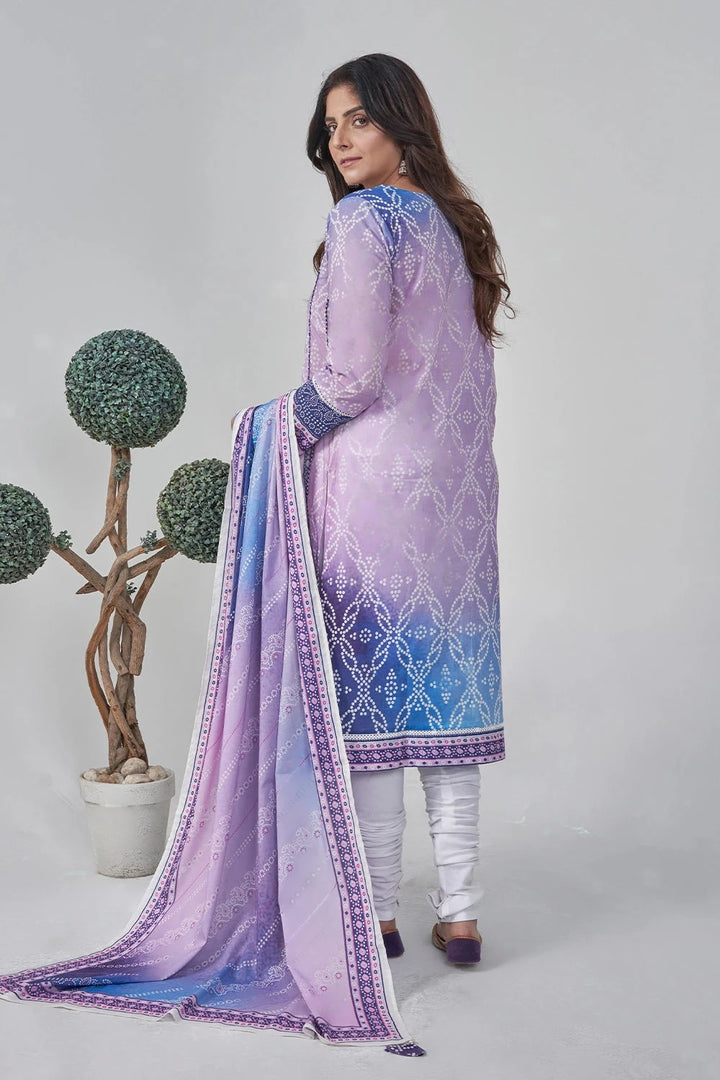 2PC Stitched Printed Lawn Shirt and Dupatta RKTW-3053 Printed KHAS STORES 